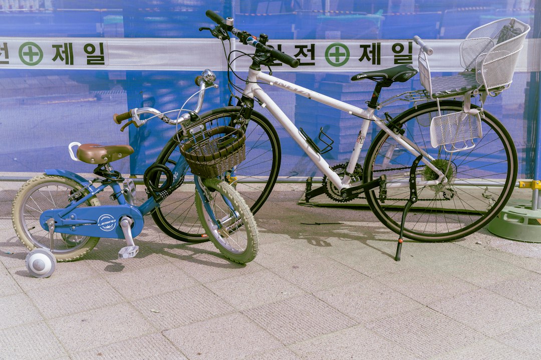 라이브클래스 참고 이미지 2